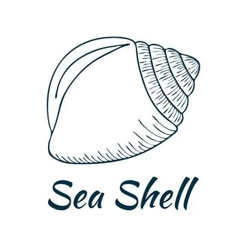 Shell, sea shell, ocean nature water underwater vector. Hand drawn nautical.. Illustrazione stock