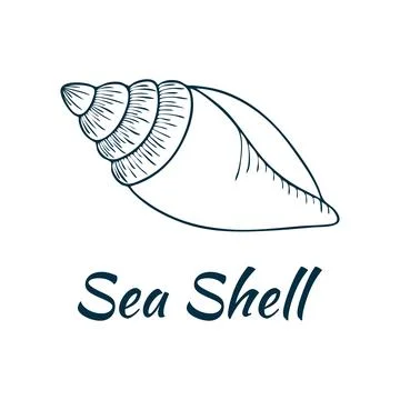 Shell, sea shell, ocean nature water underwater vector. Hand drawn nautical.. Stock Illustration