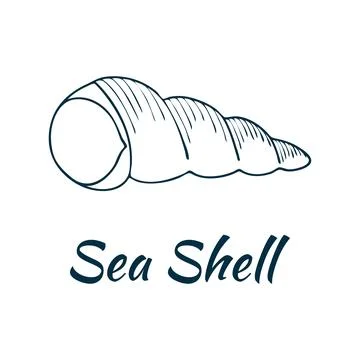 Shell, sea shell, ocean nature water underwater vector. Hand drawn nautical.. 스톡 일러스트