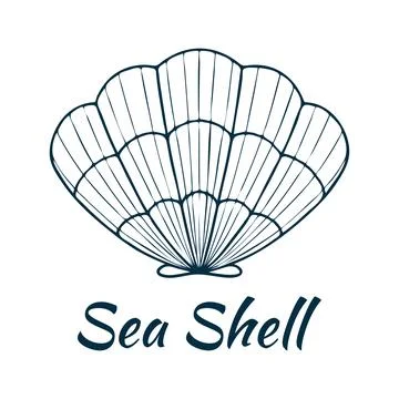 Shell, sea shell, ocean nature water underwater vector. Hand drawn nautical.. 스톡 일러스트