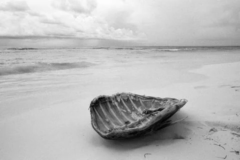 Shell of a sea turtle found on the beach of Cayo Largo Cuba Fotos de archivo