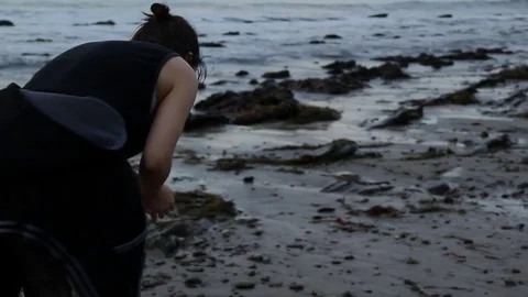 Shell searching Stock Footage 83174604