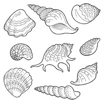 Shell set graphic black white sketch illustration vector Illustrazione stock