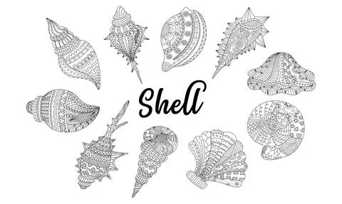 Shell set Stock Illustration