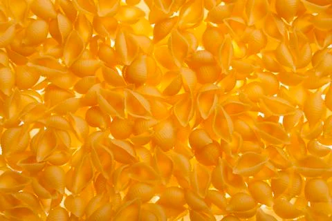 Shell shaped spaghetti Stock Photos