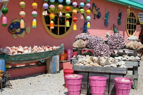 Shell Shop Photos