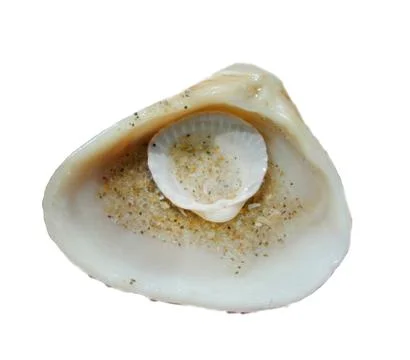 Shell with small shell within Фото