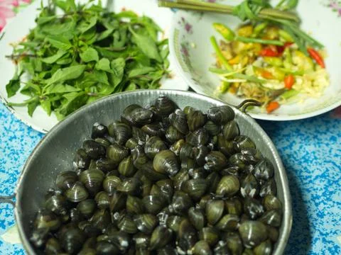 Shell Soup with Garlic, Chilli , Mint and Basil. Traditional Northeast of Tha Foto stock