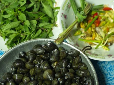 Shell Soup with Garlic, Chilli , Mint and Basil. Traditional Northeast of Tha Stock Photos