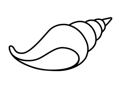 Shell. Spiral, conical shell of a sea or ocean mollusk. Vector linear picture 스톡 일러스트