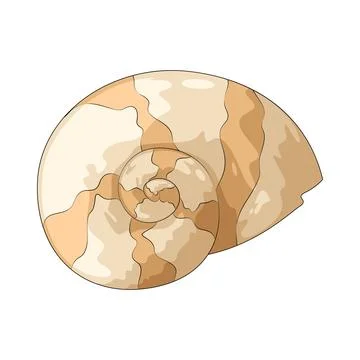 Shell spiral illustration Stock Illustration