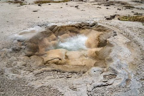 Shell Spring, a bubbling hot spring geyser in Biscuit Basin, a thermal featur Stock Photos
