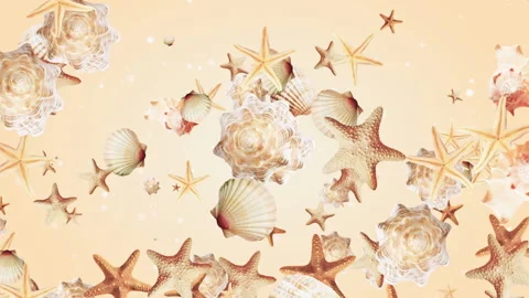 Shell Starfish Background Looped Video Stock Footage 149583687