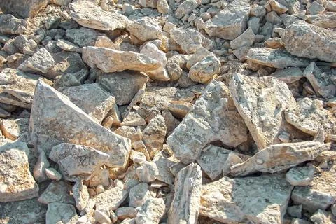 Shell stone texture. pile of stone fragments. 写真素材
