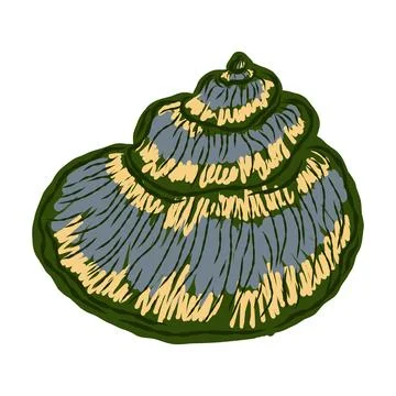 Shell in stylized technique. Marine world, shell texture, pencil marker strok Stock Illustration