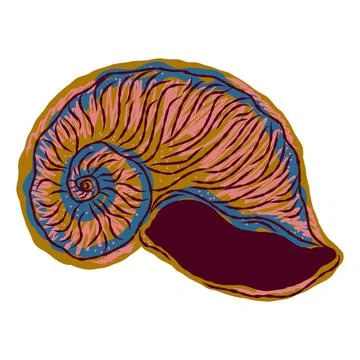 Shell in stylized technique. Marine world, shell texture, pencil marker strok Stock Illustration
