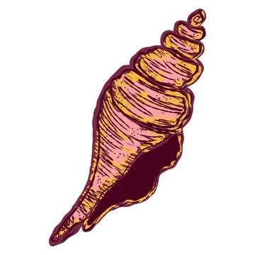 Shell in stylized technique. Marine world, shell texture, pencil marker strok Stock Illustration