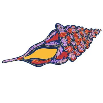 Shell in stylized technique. Marine world, shell texture, pencil marker strok Stock Illustration