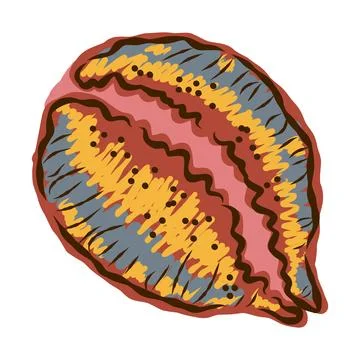 Shell in stylized technique. Marine world, shell texture, pencil marker strok Stock Illustration