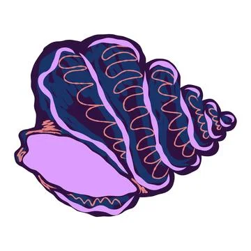 Shell in stylized technique. Marine world, shell texture, pencil marker strok Stock Illustration