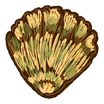 Shell in stylized technique. Marine world, shell texture, pencil marker strok Stock Illustration