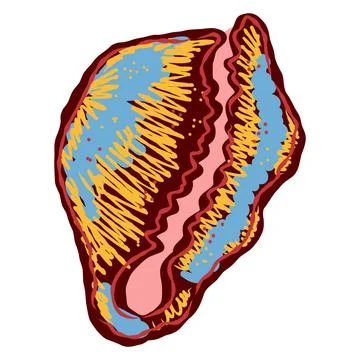 Shell in stylized technique. Marine world, shell texture, pencil marker strok イラスト素材