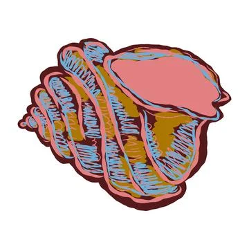 Shell in stylized technique. Marine world, shell texture, pencil marker strok Stock Illustration