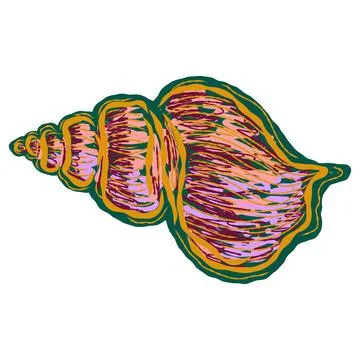 Shell in stylized technique. Marine world, shell texture, pencil marker strok イラスト素材