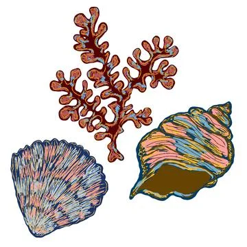 Shell in stylized technique. Marine world, shell texture, pencil marker strok Stock Illustration