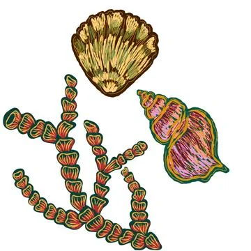 Shell in stylized technique. Marine world, shell texture, pencil marker strok Stock Illustration