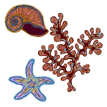 Shell in stylized technique. Marine world, shell texture, pencil marker strok Stock Illustration