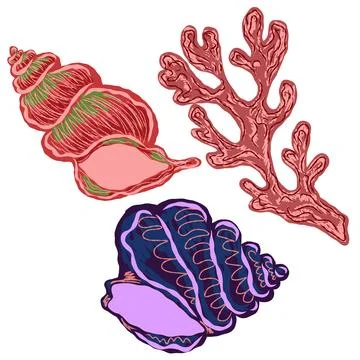 Shell in stylized technique. Marine world, shell texture, pencil marker strok Stock Illustration
