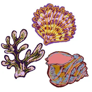 Shell in stylized technique. Marine world, shell texture, pencil marker strok Stock Illustration