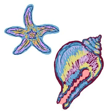 Shell in stylized technique. Marine world, shell texture, pencil marker strok Stock Illustration