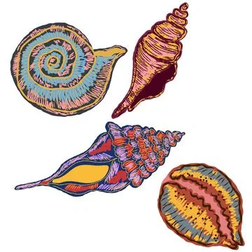 Shell in stylized technique. Marine world, shell texture, pencil marker strok Stock Illustration