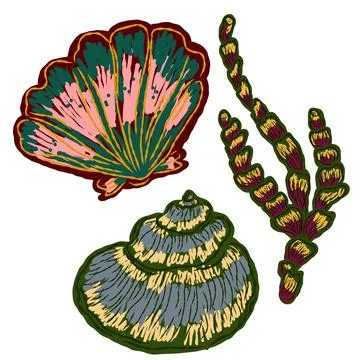 Shell in stylized technique. Marine world, shell texture, pencil marker strok イラスト素材