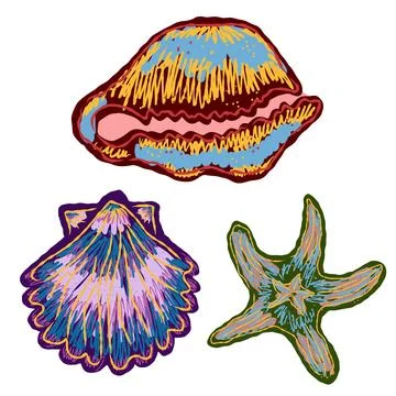 Shell in stylized technique. Marine world, shell texture, pencil marker strok Stock Illustration