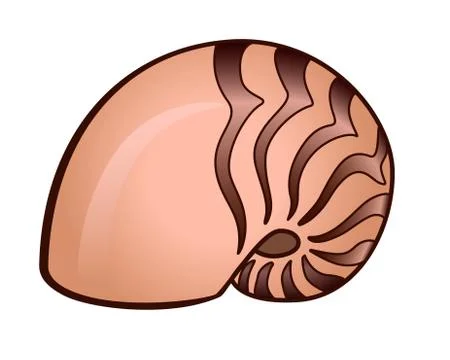 Shell. A swirling beige shell with brown stripes - vector full color picture. Stock Illustration