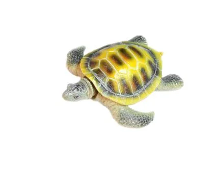 Shell turtle Stock Photos