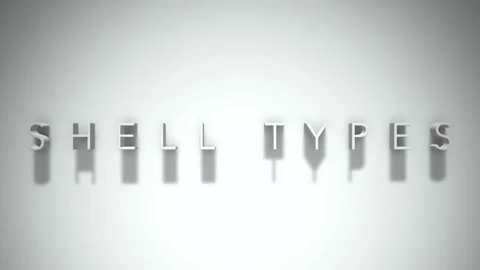 Shell Types 3D title animation with shadows on a white background Stock Footage 296716801