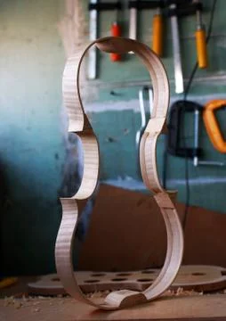 Shell for violin making Foto stock