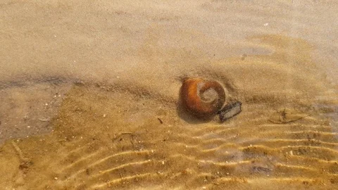 Shell in the water on the sand Stock-Footage 108390925