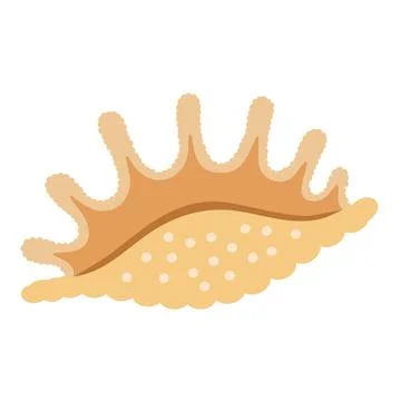 Shell on a white background for your menu or design, illustration. Seashell Stock Illustration