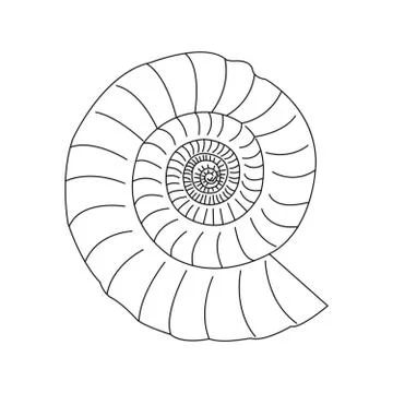Shell on white Stock Illustration