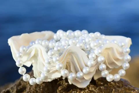 Shell with white pearls Stock Photos