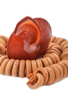 Shell with wood beads on the white background Stock-Fotos