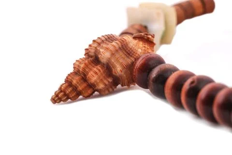 Shell with wood beads on the white background Stock Photos