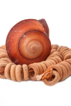 Shell with wood beads on the white background Stock Photos
