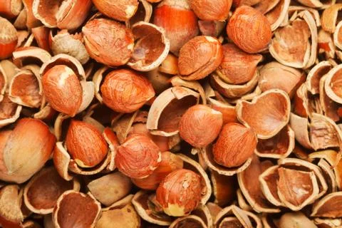Shell of wood nuts and nuts Stock Photos