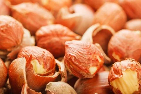 Shell of wood nuts and nuts Stock Photos